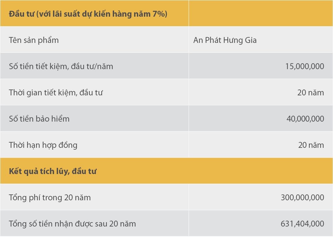 Minh họa An Phát Hưng Gia (APHG)