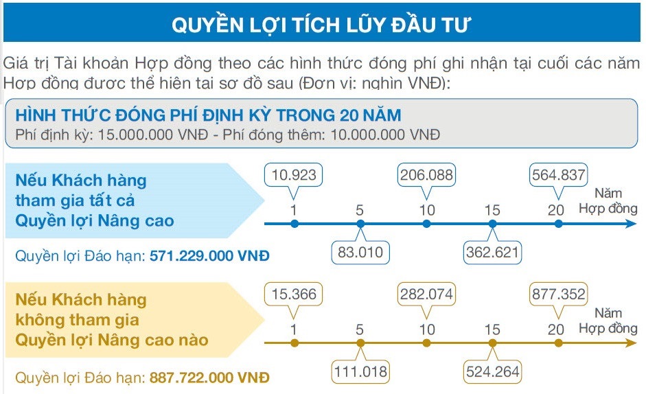 Quyền lợi tích lũy đầu tư An Phát Cát Tường đóng phí 20 năm